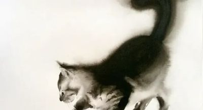 澳大利亚Soo Beng Lim（苏邦林）的猫 - 图画吧TUHUABA