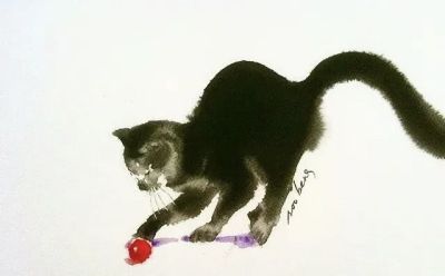 澳大利亚Soo Beng Lim（苏邦林）的猫 - 图画吧TUHUABA