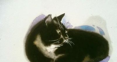 澳大利亚Soo Beng Lim（苏邦林）的猫 - 图画吧TUHUABA