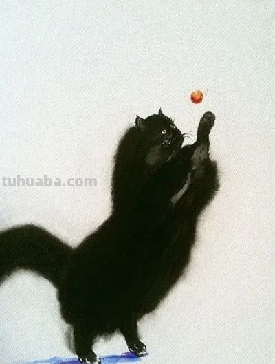 澳大利亚Soo Beng Lim（苏邦林）的猫 - 图画吧TUHUABA