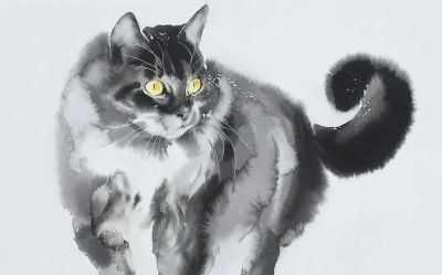 澳大利亚Soo Beng Lim（苏邦林）的猫 - 图画吧TUHUABA