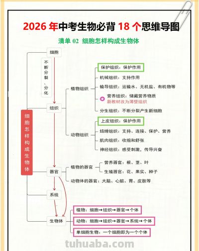 26生物会考18个思维导图,赶紧背❗ - 今日头条 26生物会考18个思维导图,赶紧背❗ - 图画吧TUHUABA