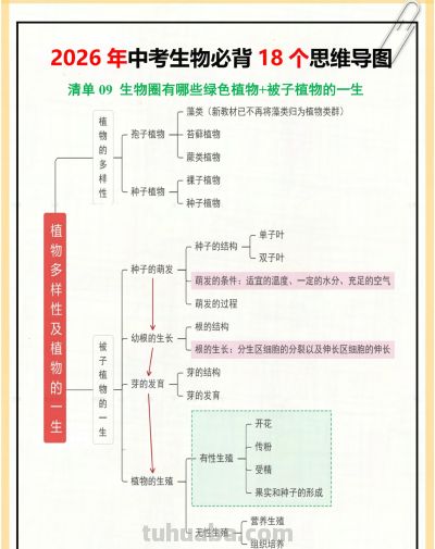 26生物会考18个思维导图,赶紧背❗ - 今日头条 26生物会考18个思维导图,赶紧背❗ - 图画吧TUHUABA