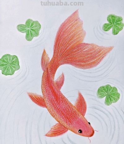 50＋自学画画｜彩铅锦鲤，一纸吉祥 - 今日头条