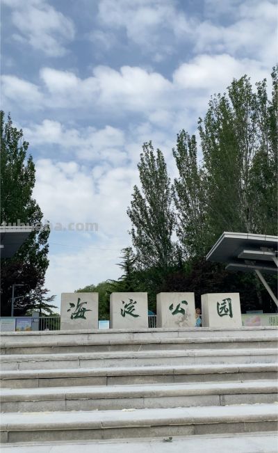 张传禄：素描北京海淀 - 图画吧TUHUABA