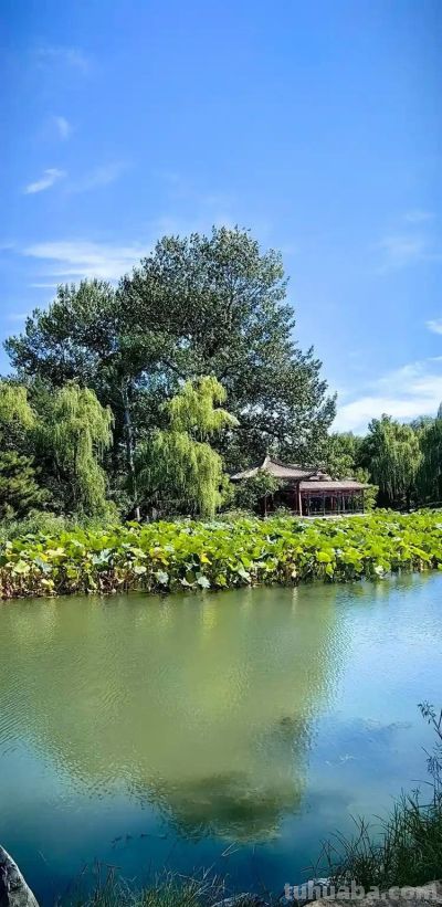张传禄：素描北京海淀 - 图画吧TUHUABA