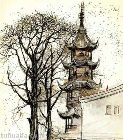 吴冠中的速写 - 图画吧TUHUABA