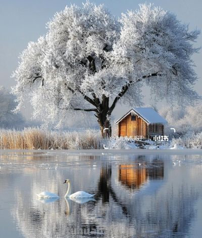 色彩四季 - 图画吧TUHUABA