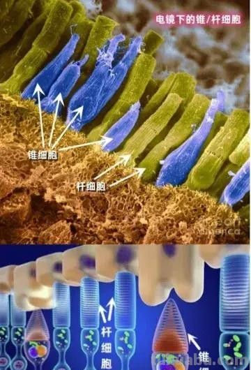 色彩心理学常识（一） - 图画吧TUHUABA