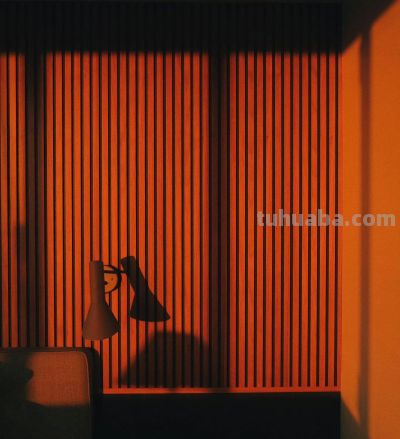 每周推荐 | Yosigo 浓烈色彩 - 图画吧TUHUABA