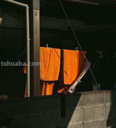 每周推荐 | Yosigo 浓烈色彩 - 图画吧TUHUABA