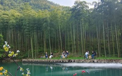 每日一画 | 晴光泼翠融村影 水色洇云抱日声·阳光下的小村·写意水彩 - 图画吧TUHUABA