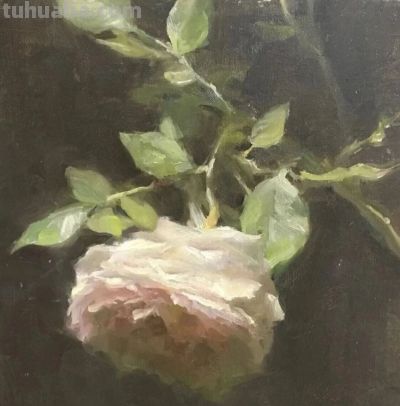 美国写实风景画家Kyle Ma油画花卉赏 - 图画吧TUHUABA