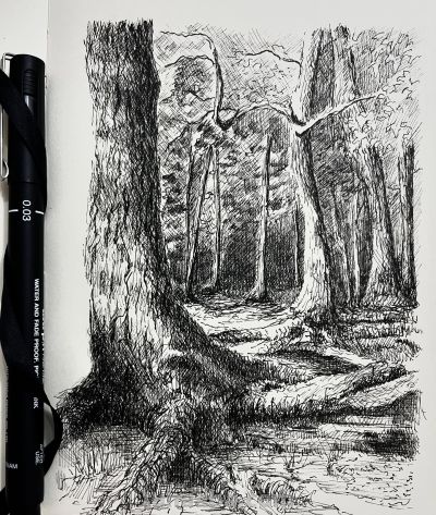 越简单，越高级：他的速写狠狠打脸“细节狂魔”，让人忍不住喜欢 - 图画吧TUHUABA