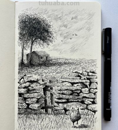 越简单，越高级：他的速写狠狠打脸“细节狂魔”，让人忍不住喜欢 - 图画吧TUHUABA