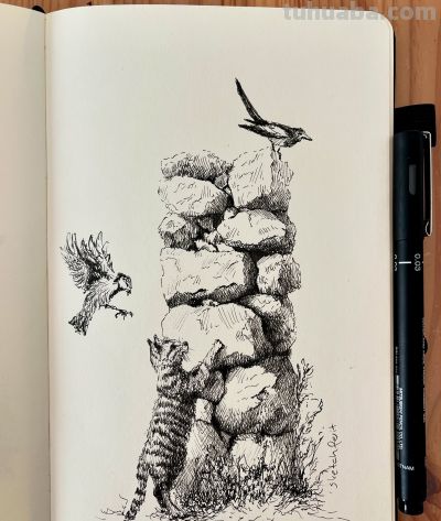 越简单，越高级：他的速写狠狠打脸“细节狂魔”，让人忍不住喜欢 - 图画吧TUHUABA