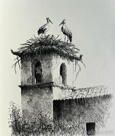 越简单，越高级：他的速写狠狠打脸“细节狂魔”，让人忍不住喜欢 - 图画吧TUHUABA