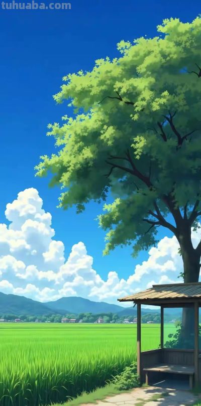 宫崎骏动漫壁纸图片 - 图画吧TUHUABA