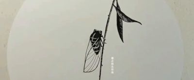 手绘昆虫艺术,用画笔记录自然之美! - 今日头条 手绘昆虫艺术,用画笔记录自然之美! - 图画吧TUHUABA