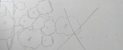 第一次画水彩画，本来信心满满，结果出乎意料 - 图画吧TUHUABA