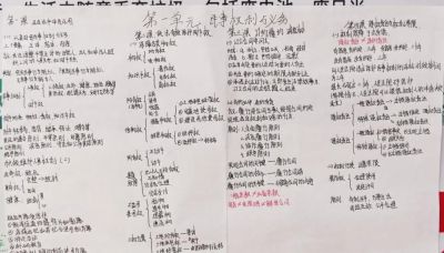 “政青春·值得期待” | 政治学科素养手抄报活动作品展示 - 图画吧TUHUABA
