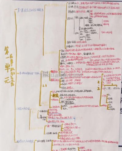 “政青春·值得期待” | 政治学科素养手抄报活动作品展示 - 图画吧TUHUABA