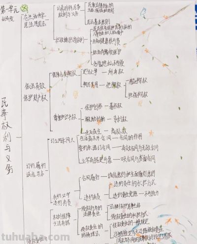 “政青春·值得期待” | 政治学科素养手抄报活动作品展示 - 图画吧TUHUABA