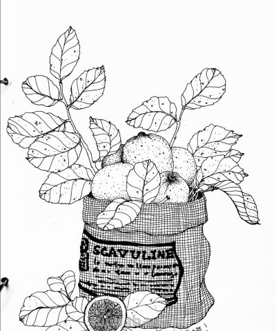精美素描画 - 图画吧TUHUABA