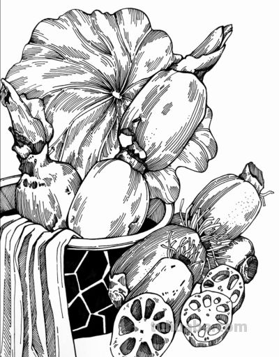 精美素描画 - 图画吧TUHUABA