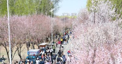 青年热词丨Color Walk，在城市里寻找治愈色彩 - 图画吧TUHUABA