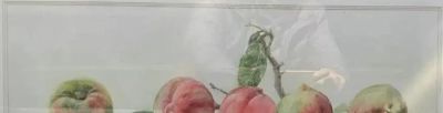 “戏水知彩”滨州市第二届水彩画作品线上展 - 图画吧TUHUABA