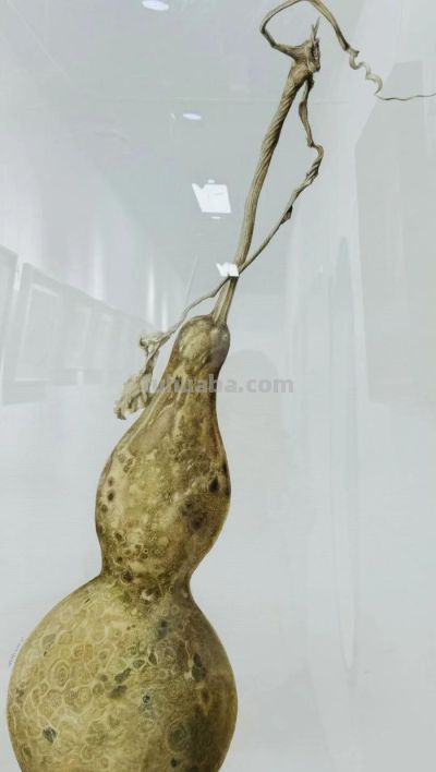 “戏水知彩”滨州市第二届水彩画作品线上展 - 图画吧TUHUABA