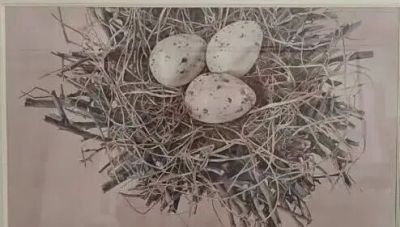 “戏水知彩”滨州市第二届水彩画作品线上展 - 图画吧TUHUABA