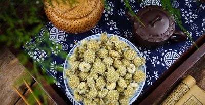 家庭养生花茶指南：从阳台种植到一杯好茶的完整方案 - 图画吧TUHUABA