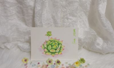 08 水彩蔓莲（果花甘08） - 今日头条
