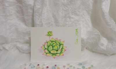 08 水彩蔓莲（果花甘08） - 图画吧TUHUABA