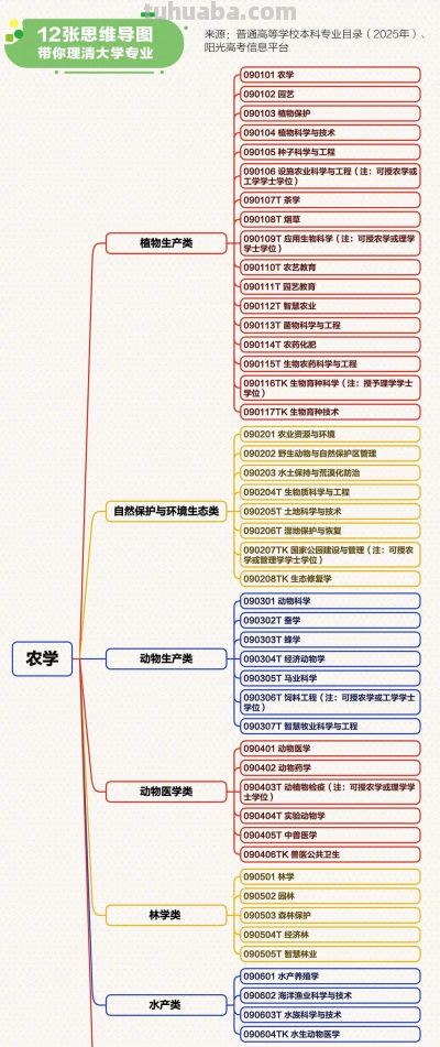 转存！最新大学本科专业思维导图，志愿填报必看 - 图画吧TUHUABA