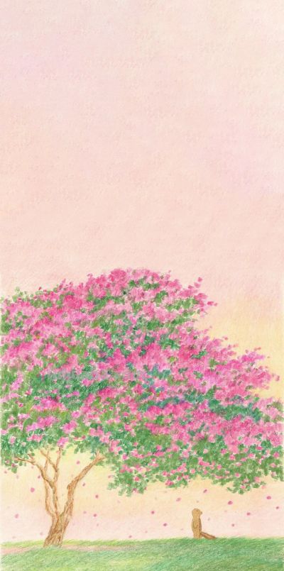 春日森林物语｜软萌治愈彩铅插画合集 - 今日头条
