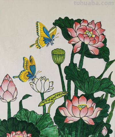 彩铅染夏，荷蝶共舞，把夏天画进朋友圈啦！ - 今日头条