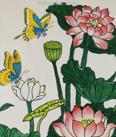 彩铅染夏，荷蝶共舞，把夏天画进朋友圈啦！ - 图画吧TUHUABA