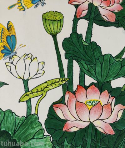 彩铅染夏，荷蝶共舞，把夏天画进朋友圈啦！ - 图画吧TUHUABA