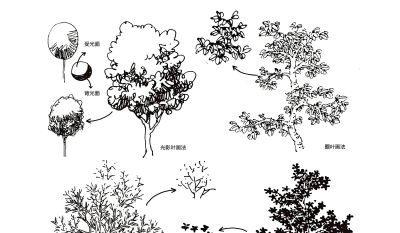 画速写画不出“质感”?看似难画其实很简单,要学会“以线造型” - 今日头条 画速写画不出“质感”?看似难画其实很简单,要学会“以线造型” - 图画吧TUHUABA