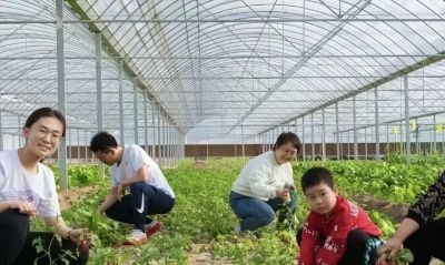 【假日“趣”武清】色彩志——六种颜色打开多彩“五一” - 图画吧TUHUABA