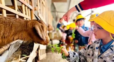 【假日“趣”武清】色彩志——六种颜色打开多彩“五一” - 图画吧TUHUABA