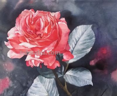 周峰花卉水彩画:色彩里的自然之梦 - 今日头条 周峰花卉水彩画:色彩里的自然之梦 - 图画吧TUHUABA