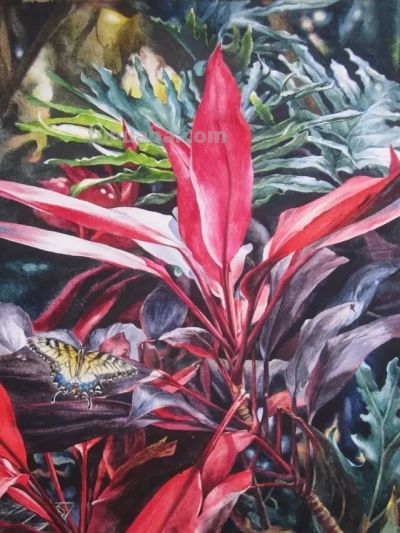 周峰花卉水彩画:色彩里的自然之梦 - 今日头条 周峰花卉水彩画:色彩里的自然之梦 - 图画吧TUHUABA
