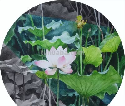 周峰花卉水彩画:色彩里的自然之梦 - 今日头条 周峰花卉水彩画:色彩里的自然之梦 - 图画吧TUHUABA