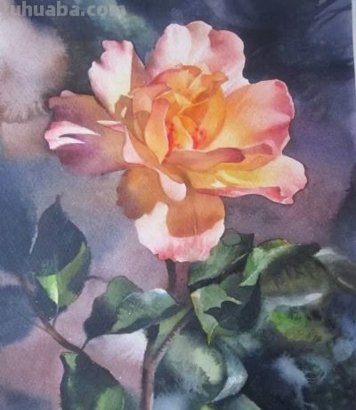 周峰花卉水彩画:色彩里的自然之梦 - 今日头条 周峰花卉水彩画:色彩里的自然之梦 - 图画吧TUHUABA