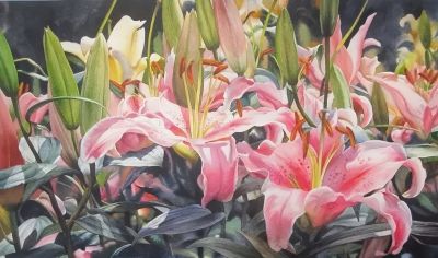周峰花卉水彩画:色彩里的自然之梦 - 今日头条 周峰花卉水彩画:色彩里的自然之梦 - 图画吧TUHUABA