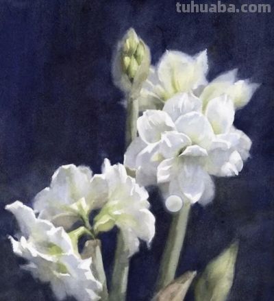 中国香港水彩画家Karen Mai作品赏 - 今日头条 中国香港水彩画家Karen Mai作品赏 - 图画吧TUHUABA